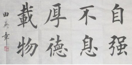 上海成人书法