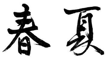 上海成人书法