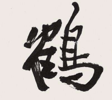 上海成人书法