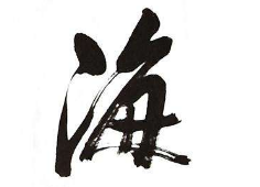 上海成人书法
