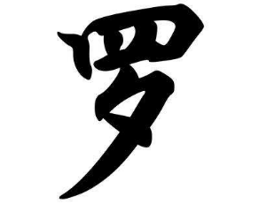 上海成人书法