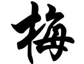上海成人书法
