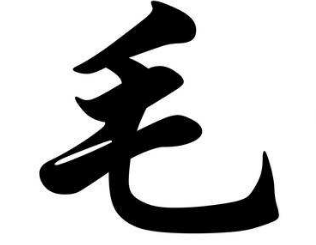 上海成人书法