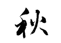 上海成人书法