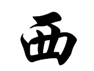 上海成人书法