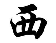 上海成人书法