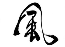 上海成人书法