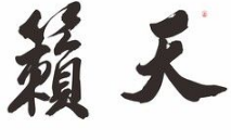 上海成人书法