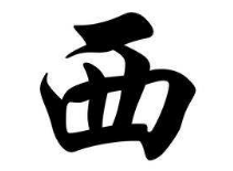上海成人书法
