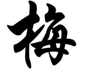 书法培训