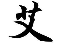 书法培训