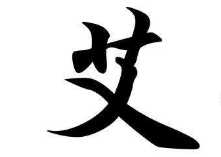 书法培训