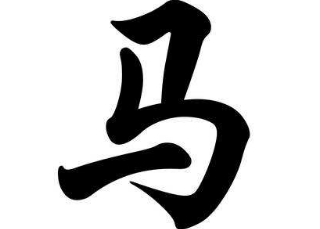 上海成人书法