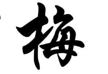 书法培训