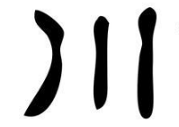 上海成人书法