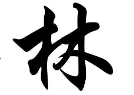 上海书法班