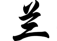 书法培训