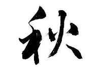 书法培训