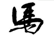 上海成人书法
