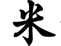 书法培训